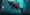 Robotic Fish